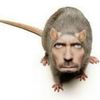 nispero_