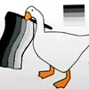 dr_noob333