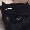 .pedroxkkkj
