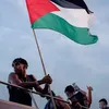 warisrasheed8517