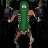 lilpicklerickk