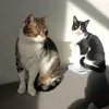 bonusbonheur