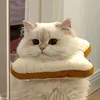 artem_himera