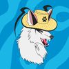 mrzorz0