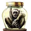 jar_of_gibbons