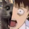 cinnamonhito