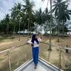 FaradelaCiprut26