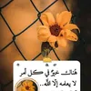 userwxcpdunzjz