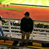 firmanrmdn98