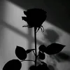 uncle_mthanh