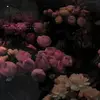 cunncuncun