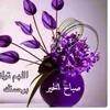 user554621938