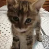 lulugaming20
