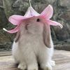 yayabunnie