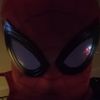 spideegroomsoc