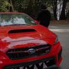 thesubiedelinquent