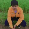 deiw1241