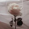 bex_042