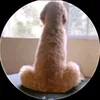 hi746880