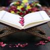 ali_____sayed