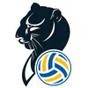 imocovolley
