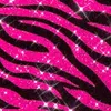 2000s_fp_fanka
