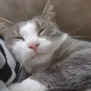 wishiweresleeping