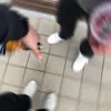 mlody_lolek2137