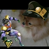 the.dog.of.jotaro