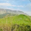 dlgashbarham