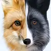 hazel_the_fox