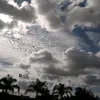 kawtar_jb1