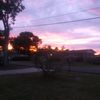 minni_coronahypehouse228