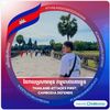 onion_181