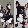 maverick_and_cooper