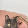 cathwet