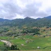 phamthuylinh608