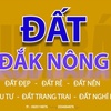 nhadattrungson