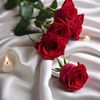 user1503105971983