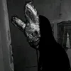 ara_8_