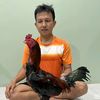 p.bird_01