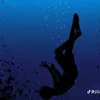 notpenguinio
