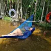 adalicerodrigues