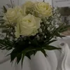 sherry.0212