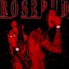 212Rosebud