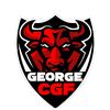 georgecgf