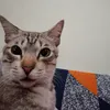 syazan.akidd