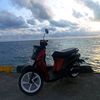 adelsputra04