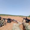muradmurad6589