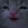 satozlor